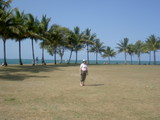 Jo by the sea in Port Douglas